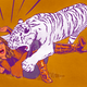 Image for article titled This Celebrity-Studded Instagram Petting Zoo Is a Disaster Waiting to Happen